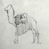 camel-on-set-of-hassan