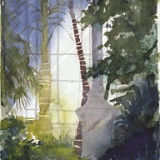 in-the-palm-house-1